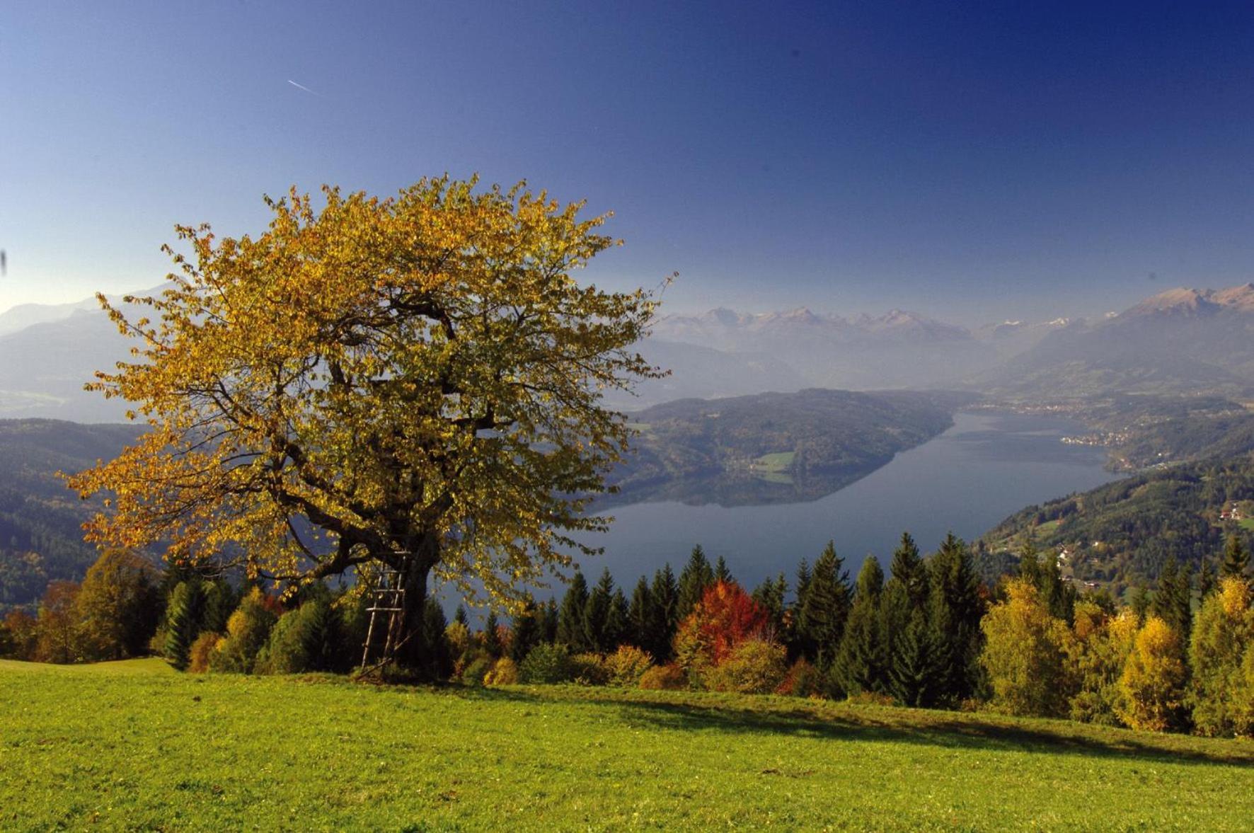 Gasthof Pension Perauer Lieserhofen Esterno foto